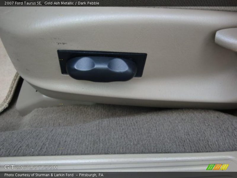 Gold Ash Metallic / Dark Pebble 2007 Ford Taurus SE