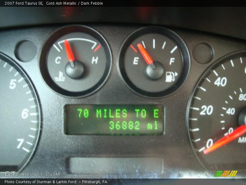 Gold Ash Metallic / Dark Pebble 2007 Ford Taurus SE