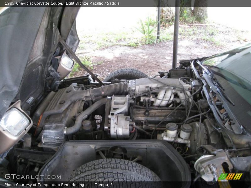 Light Bronze Metallic / Saddle 1985 Chevrolet Corvette Coupe