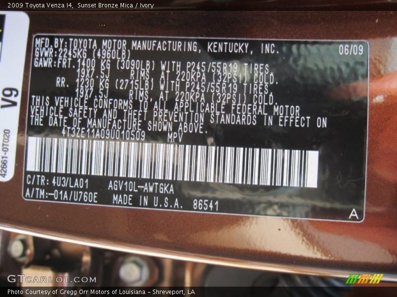 Sunset Bronze Mica / Ivory 2009 Toyota Venza I4