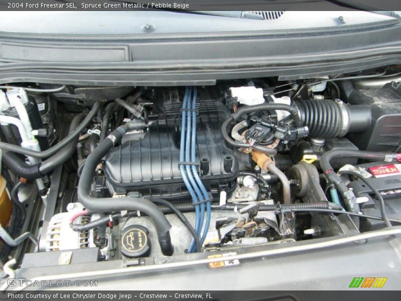 Spruce Green Metallic / Pebble Beige 2004 Ford Freestar SEL
