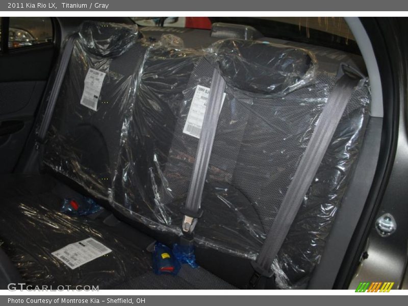 Titanium / Gray 2011 Kia Rio LX