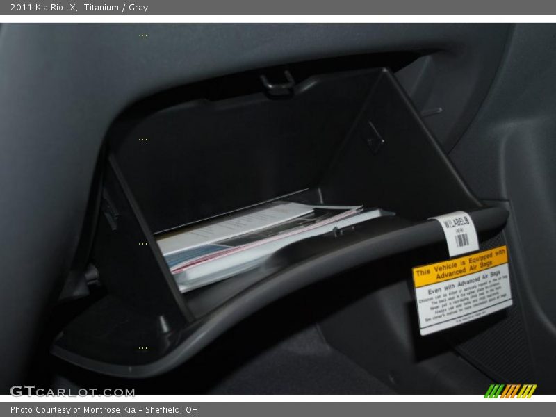 Titanium / Gray 2011 Kia Rio LX