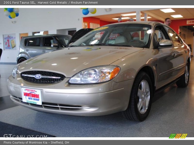 Harvest Gold Metallic / Medium Parchment 2001 Ford Taurus SEL