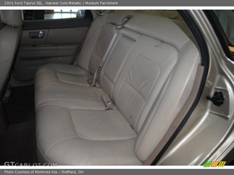 Harvest Gold Metallic / Medium Parchment 2001 Ford Taurus SEL