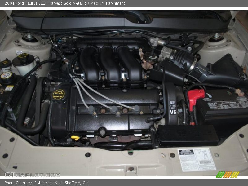 Harvest Gold Metallic / Medium Parchment 2001 Ford Taurus SEL