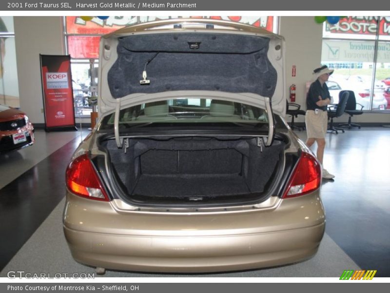 Harvest Gold Metallic / Medium Parchment 2001 Ford Taurus SEL