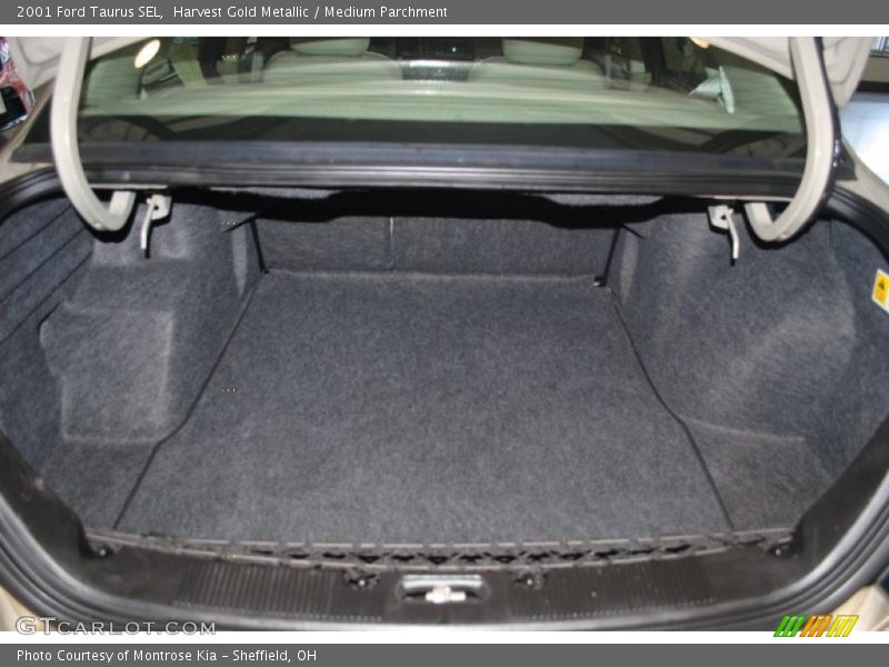 Harvest Gold Metallic / Medium Parchment 2001 Ford Taurus SEL
