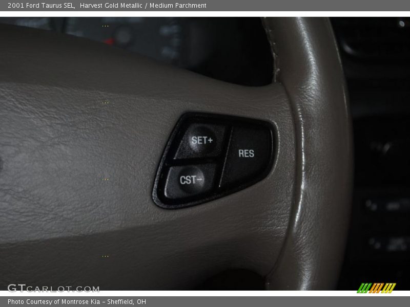 Harvest Gold Metallic / Medium Parchment 2001 Ford Taurus SEL
