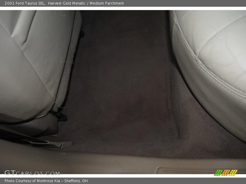 Harvest Gold Metallic / Medium Parchment 2001 Ford Taurus SEL