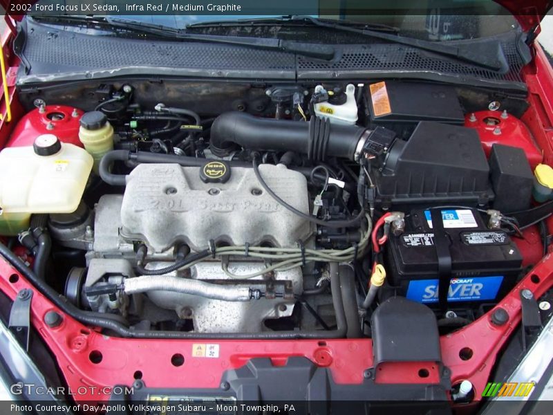 Infra Red / Medium Graphite 2002 Ford Focus LX Sedan