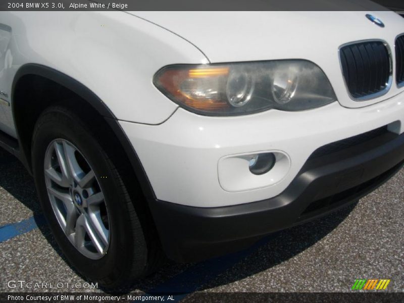 Alpine White / Beige 2004 BMW X5 3.0i