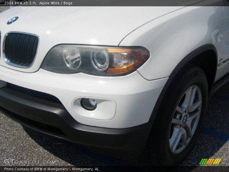 Alpine White / Beige 2004 BMW X5 3.0i