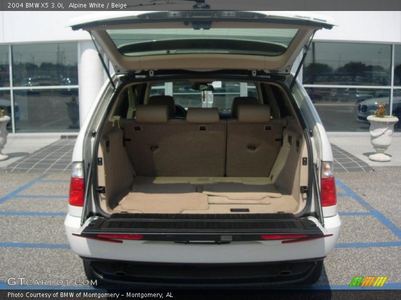 Alpine White / Beige 2004 BMW X5 3.0i