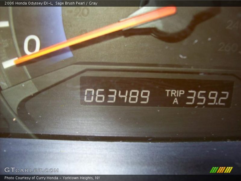 Sage Brush Pearl / Gray 2006 Honda Odyssey EX-L