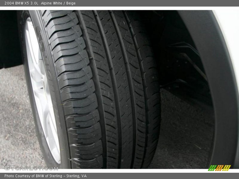 Alpine White / Beige 2004 BMW X5 3.0i