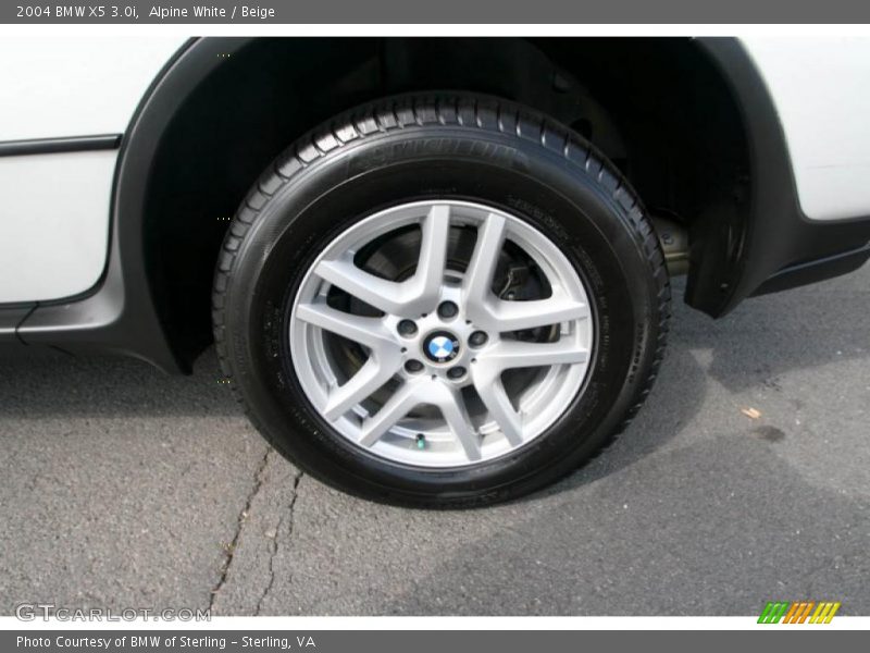 Alpine White / Beige 2004 BMW X5 3.0i
