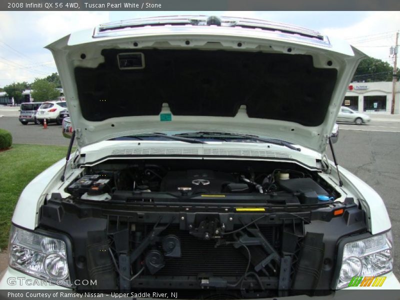 Tuscan Pearl White / Stone 2008 Infiniti QX 56 4WD