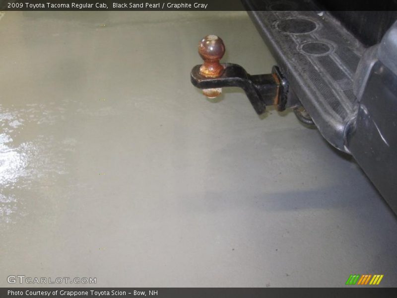 Black Sand Pearl / Graphite Gray 2009 Toyota Tacoma Regular Cab
