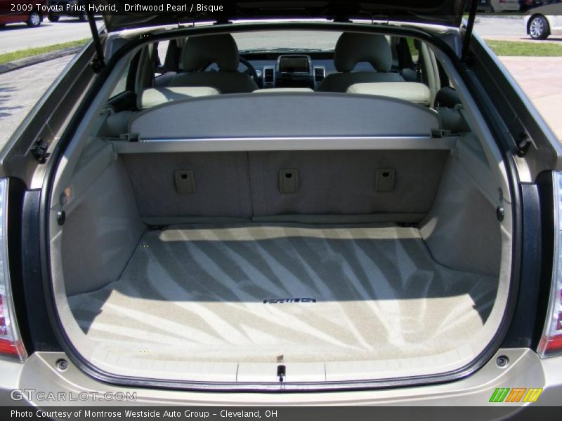 Driftwood Pearl / Bisque 2009 Toyota Prius Hybrid