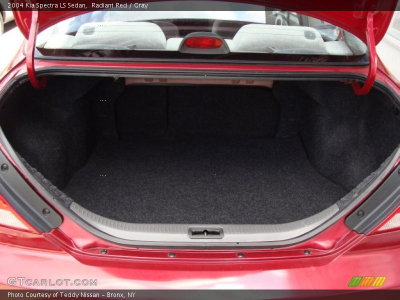 Radiant Red / Gray 2004 Kia Spectra LS Sedan