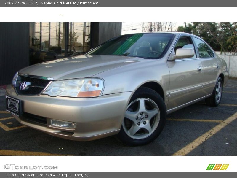Naples Gold Metallic / Parchment 2002 Acura TL 3.2