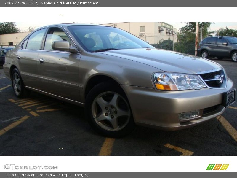 Naples Gold Metallic / Parchment 2002 Acura TL 3.2