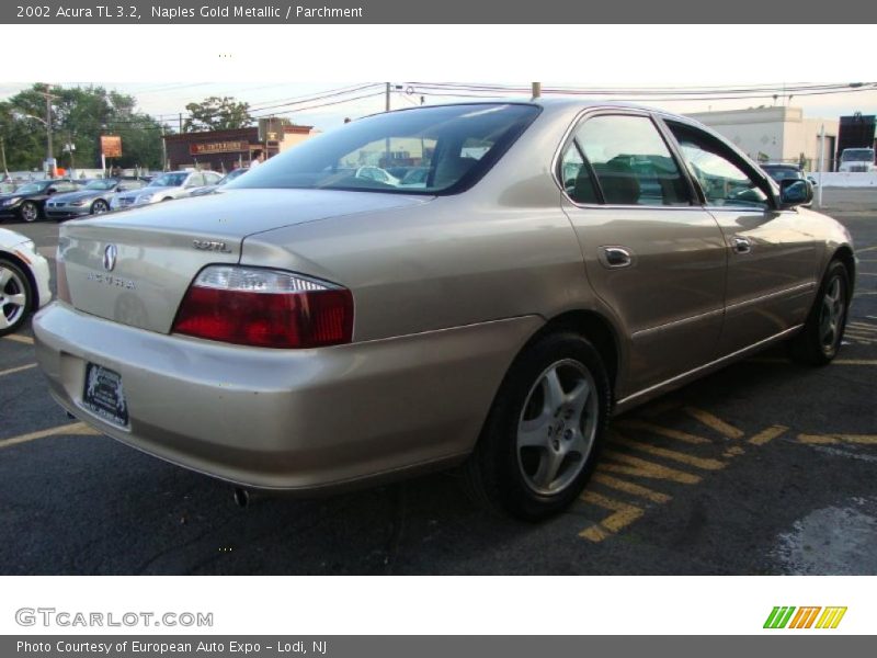 Naples Gold Metallic / Parchment 2002 Acura TL 3.2