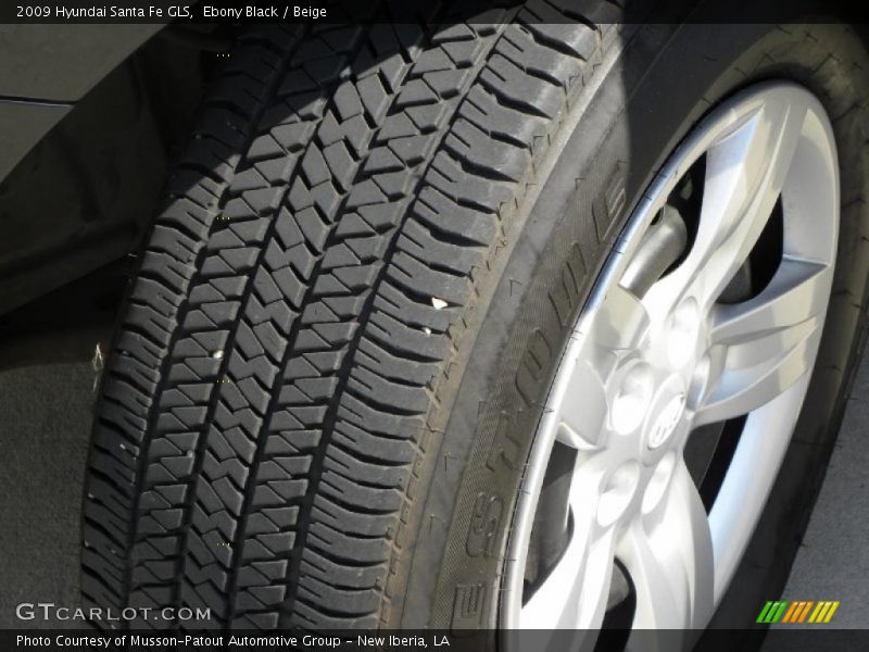 Ebony Black / Beige 2009 Hyundai Santa Fe GLS