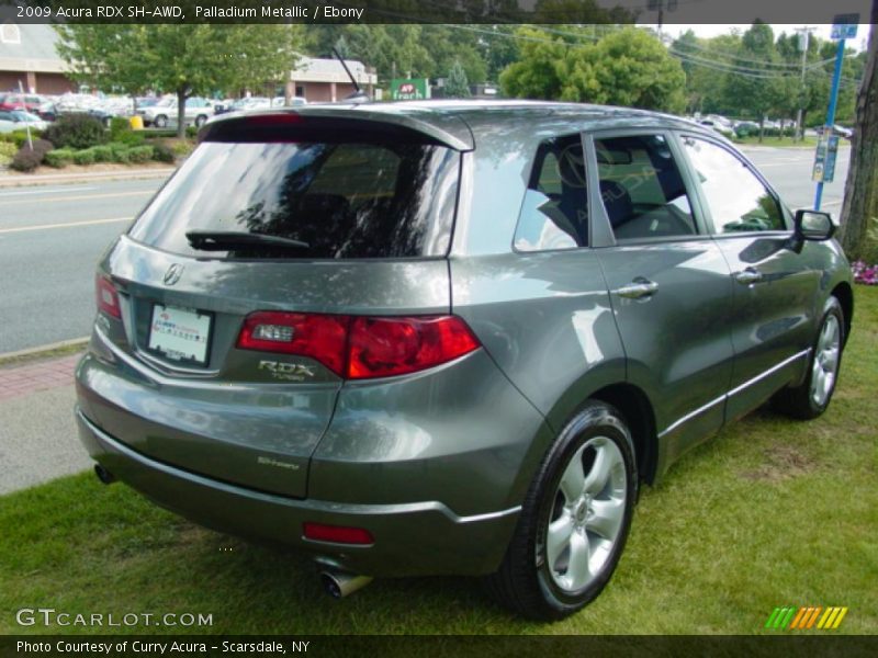 Palladium Metallic / Ebony 2009 Acura RDX SH-AWD