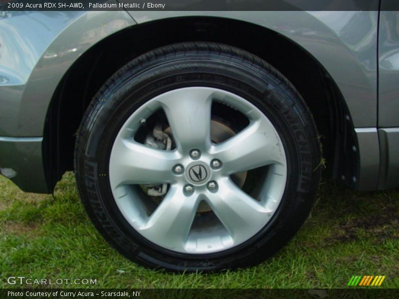 Palladium Metallic / Ebony 2009 Acura RDX SH-AWD