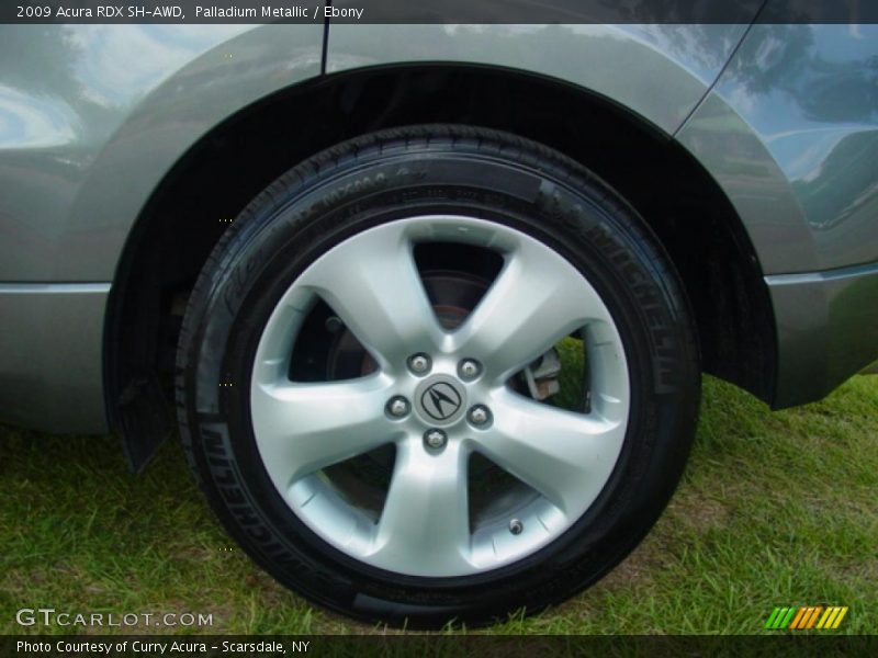 Palladium Metallic / Ebony 2009 Acura RDX SH-AWD