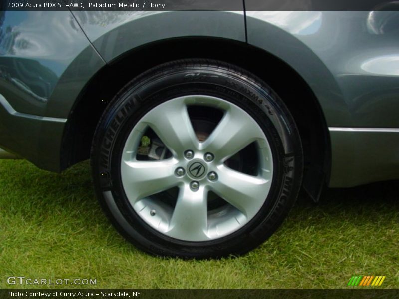 Palladium Metallic / Ebony 2009 Acura RDX SH-AWD