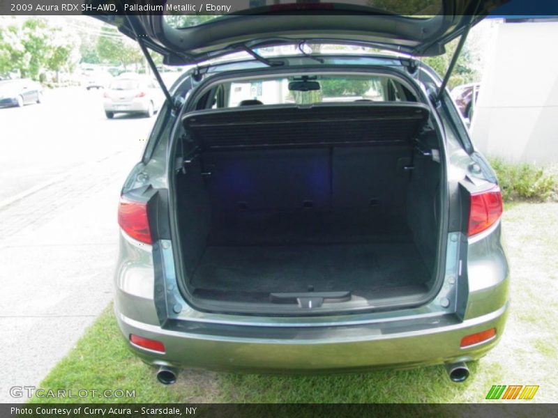 Palladium Metallic / Ebony 2009 Acura RDX SH-AWD