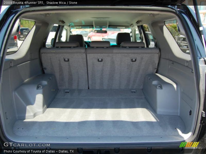 Shadow Mica / Stone 2009 Toyota 4Runner SR5