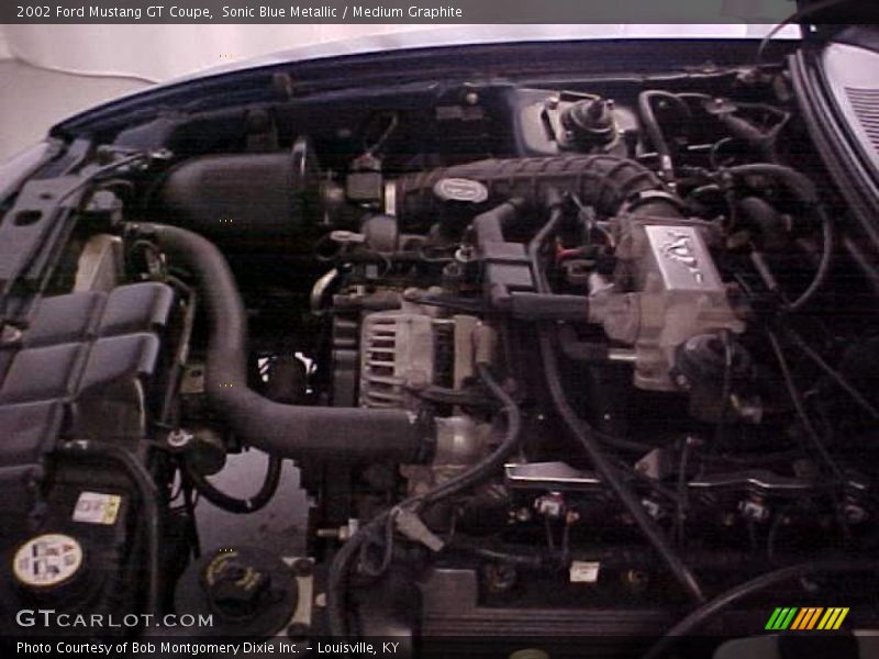 Sonic Blue Metallic / Medium Graphite 2002 Ford Mustang GT Coupe
