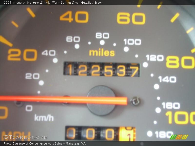 Warm Springs Silver Metallic / Brown 1995 Mitsubishi Montero LS 4x4