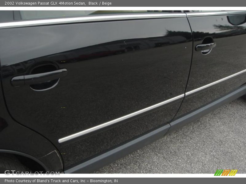 Black / Beige 2002 Volkswagen Passat GLX 4Motion Sedan