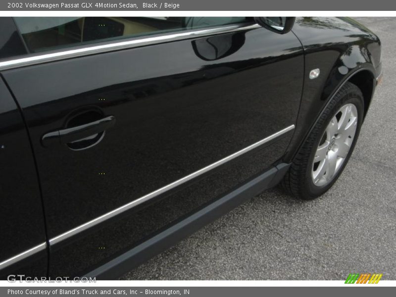 Black / Beige 2002 Volkswagen Passat GLX 4Motion Sedan