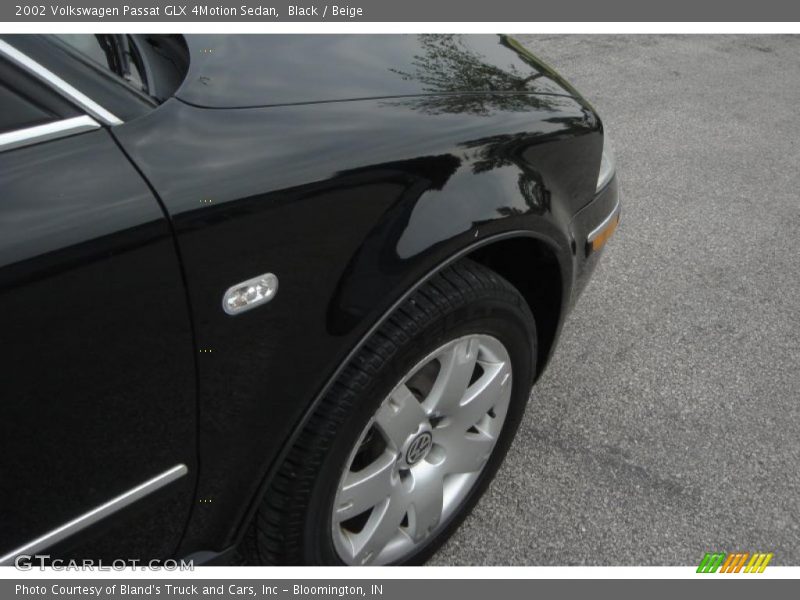 Black / Beige 2002 Volkswagen Passat GLX 4Motion Sedan