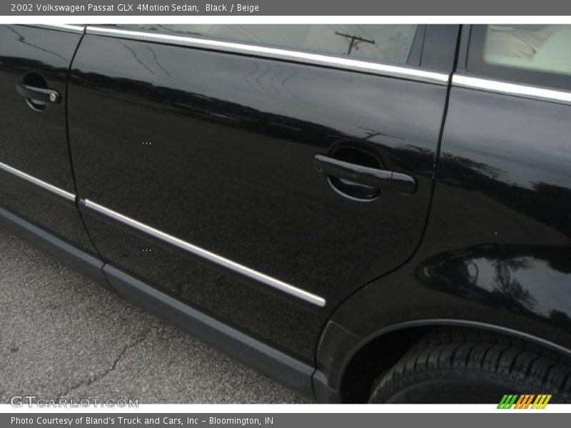 Black / Beige 2002 Volkswagen Passat GLX 4Motion Sedan