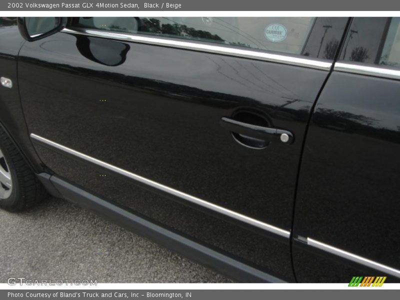 Black / Beige 2002 Volkswagen Passat GLX 4Motion Sedan