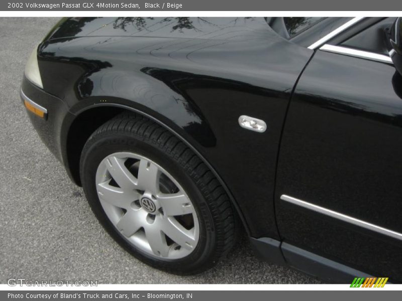 Black / Beige 2002 Volkswagen Passat GLX 4Motion Sedan