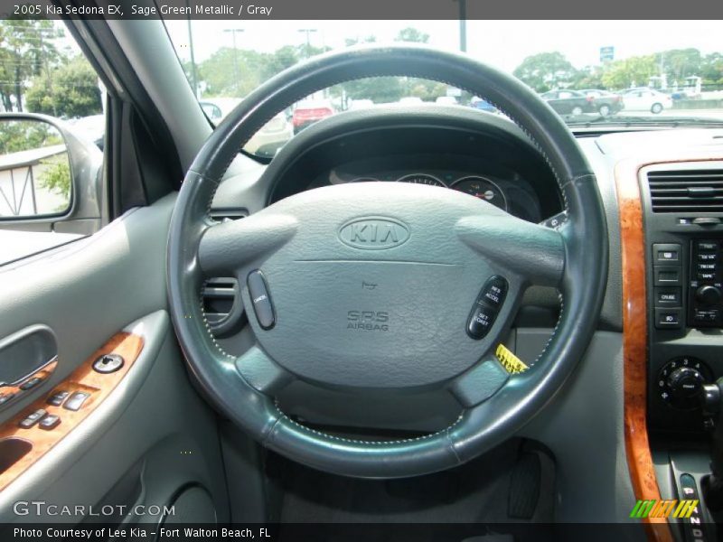 Sage Green Metallic / Gray 2005 Kia Sedona EX