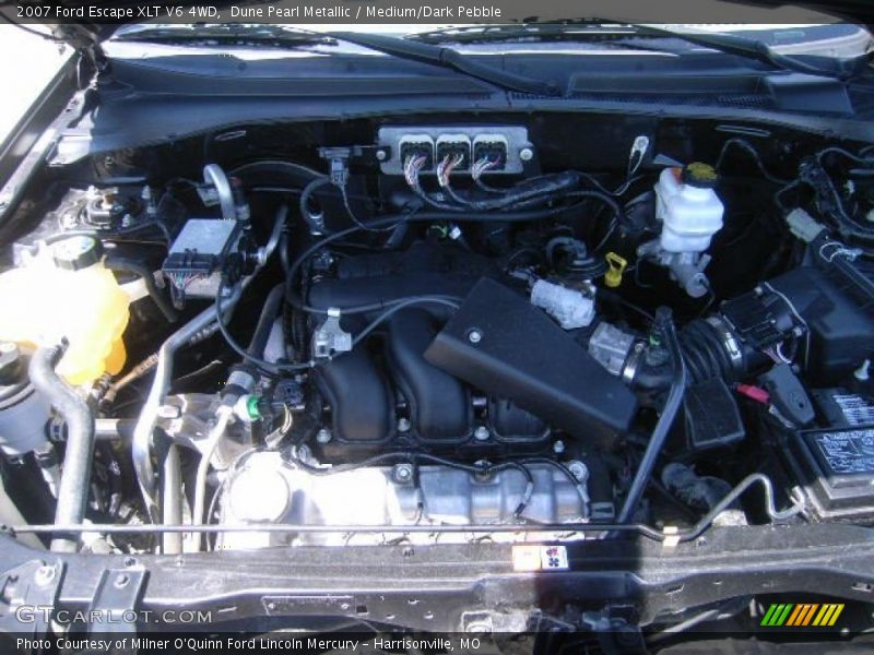Dune Pearl Metallic / Medium/Dark Pebble 2007 Ford Escape XLT V6 4WD