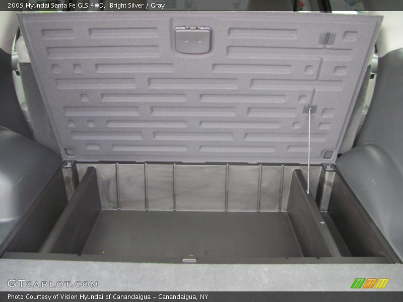 Bright Silver / Gray 2009 Hyundai Santa Fe GLS 4WD