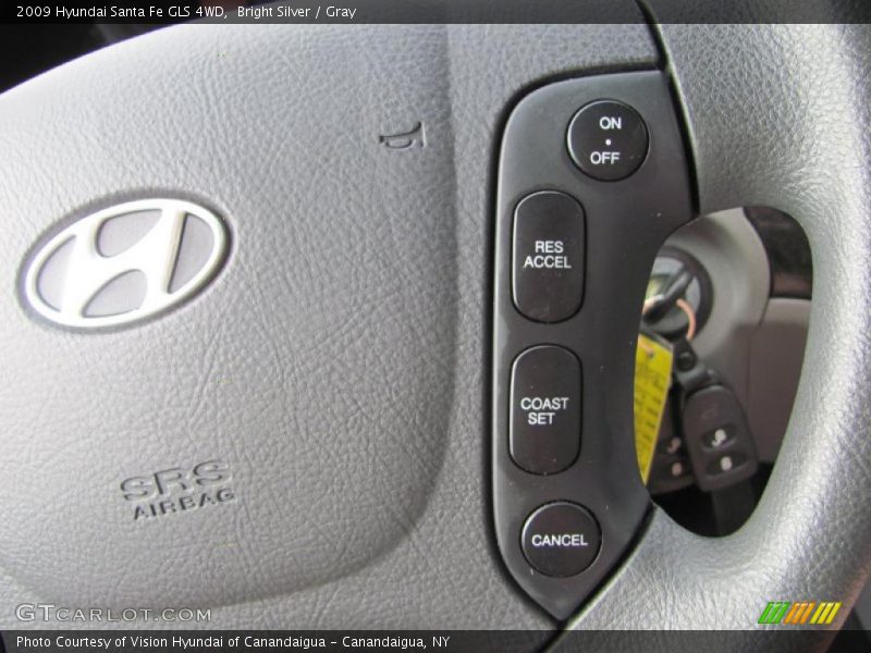 Bright Silver / Gray 2009 Hyundai Santa Fe GLS 4WD
