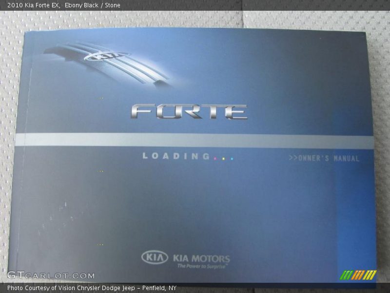 Ebony Black / Stone 2010 Kia Forte EX
