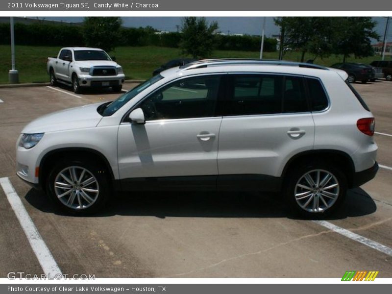 Candy White / Charcoal 2011 Volkswagen Tiguan SE