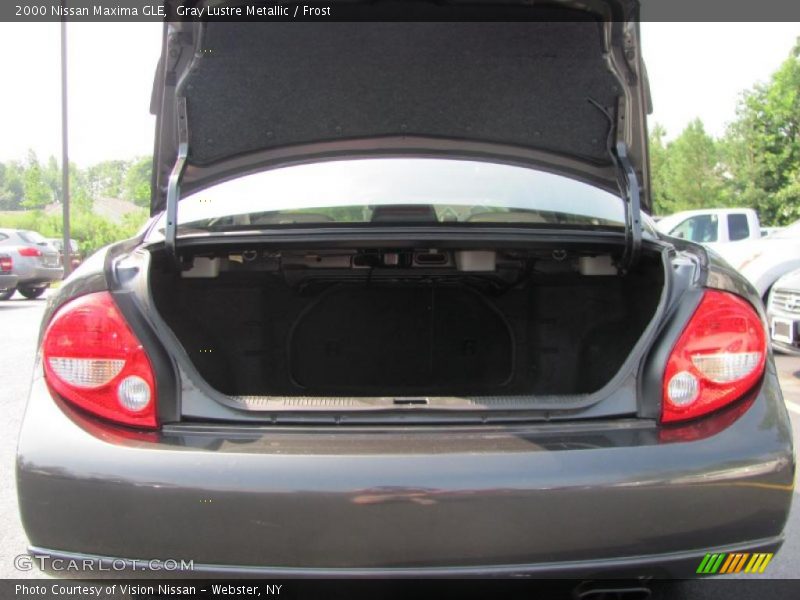 Gray Lustre Metallic / Frost 2000 Nissan Maxima GLE